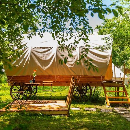 Hotel Dragonfly Gardens - The Wagons Brașov Exterior foto