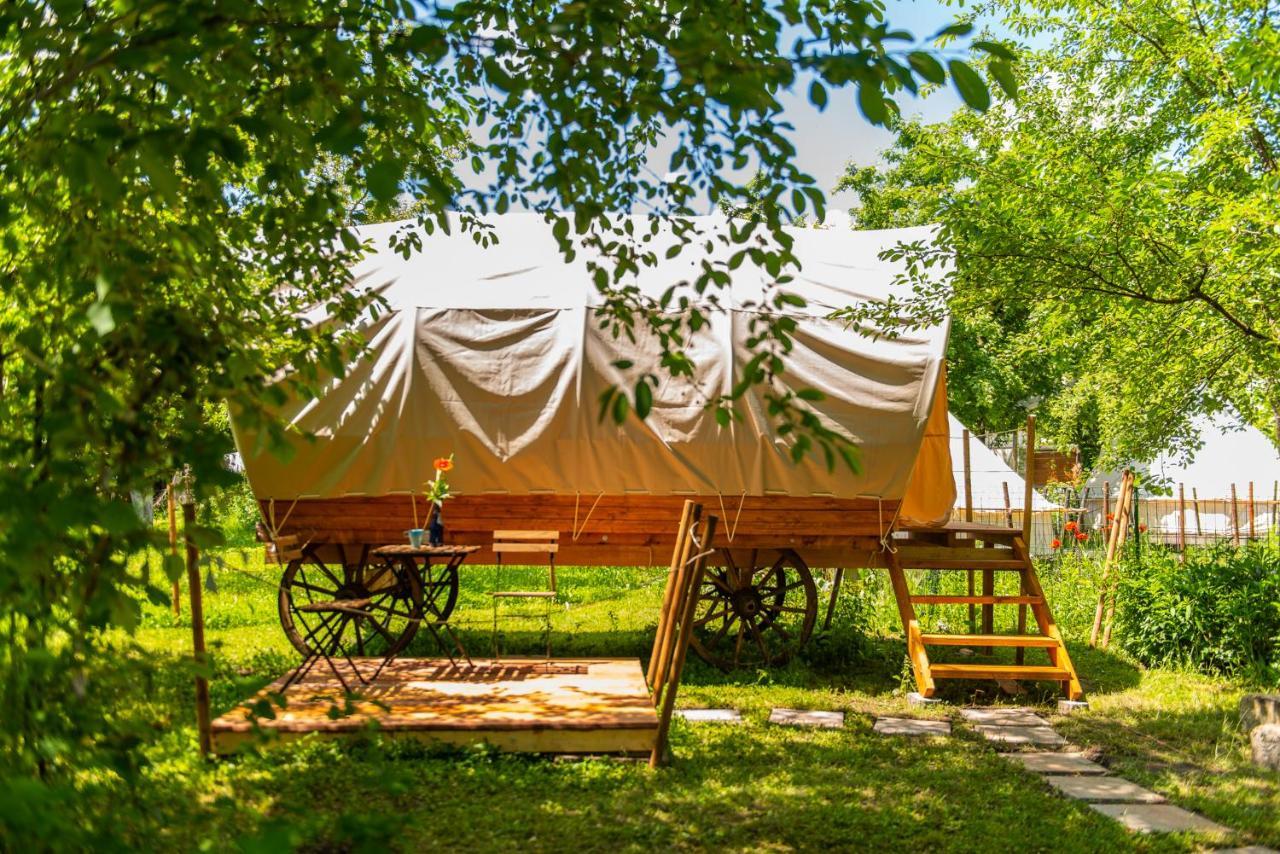 Hotel Dragonfly Gardens - The Wagons Brașov Exterior foto
