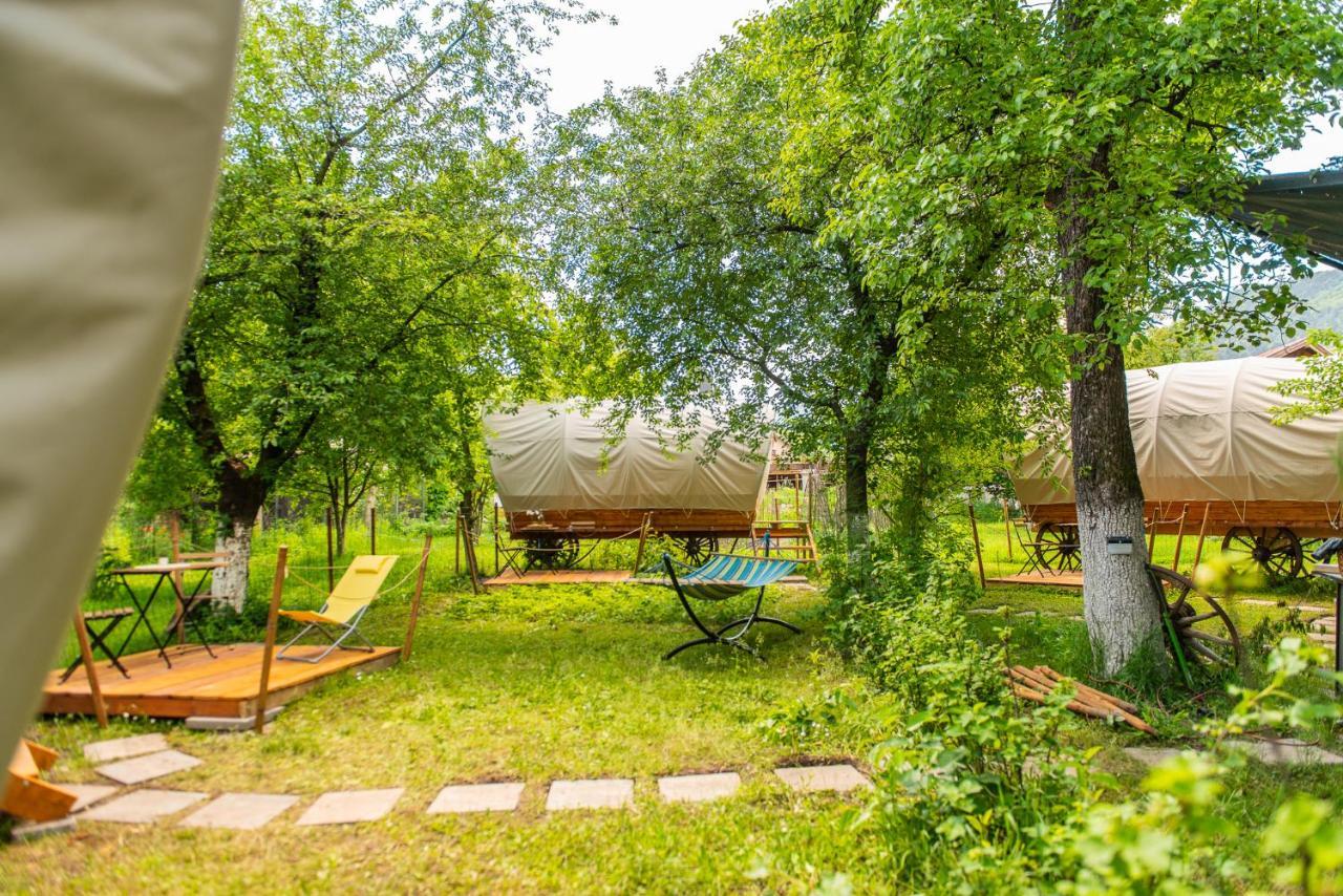Hotel Dragonfly Gardens - The Wagons Brașov Exterior foto