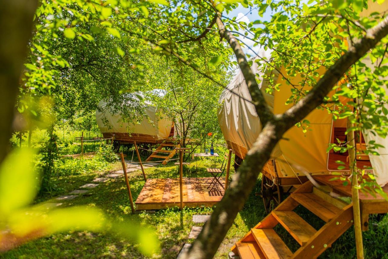 Hotel Dragonfly Gardens - The Wagons Brașov Exterior foto