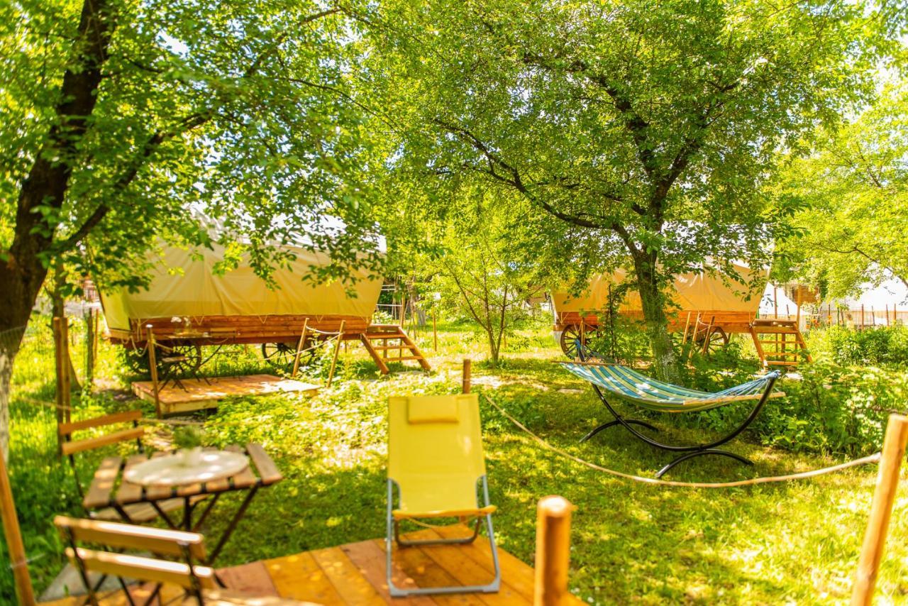 Hotel Dragonfly Gardens - The Wagons Brașov Exterior foto