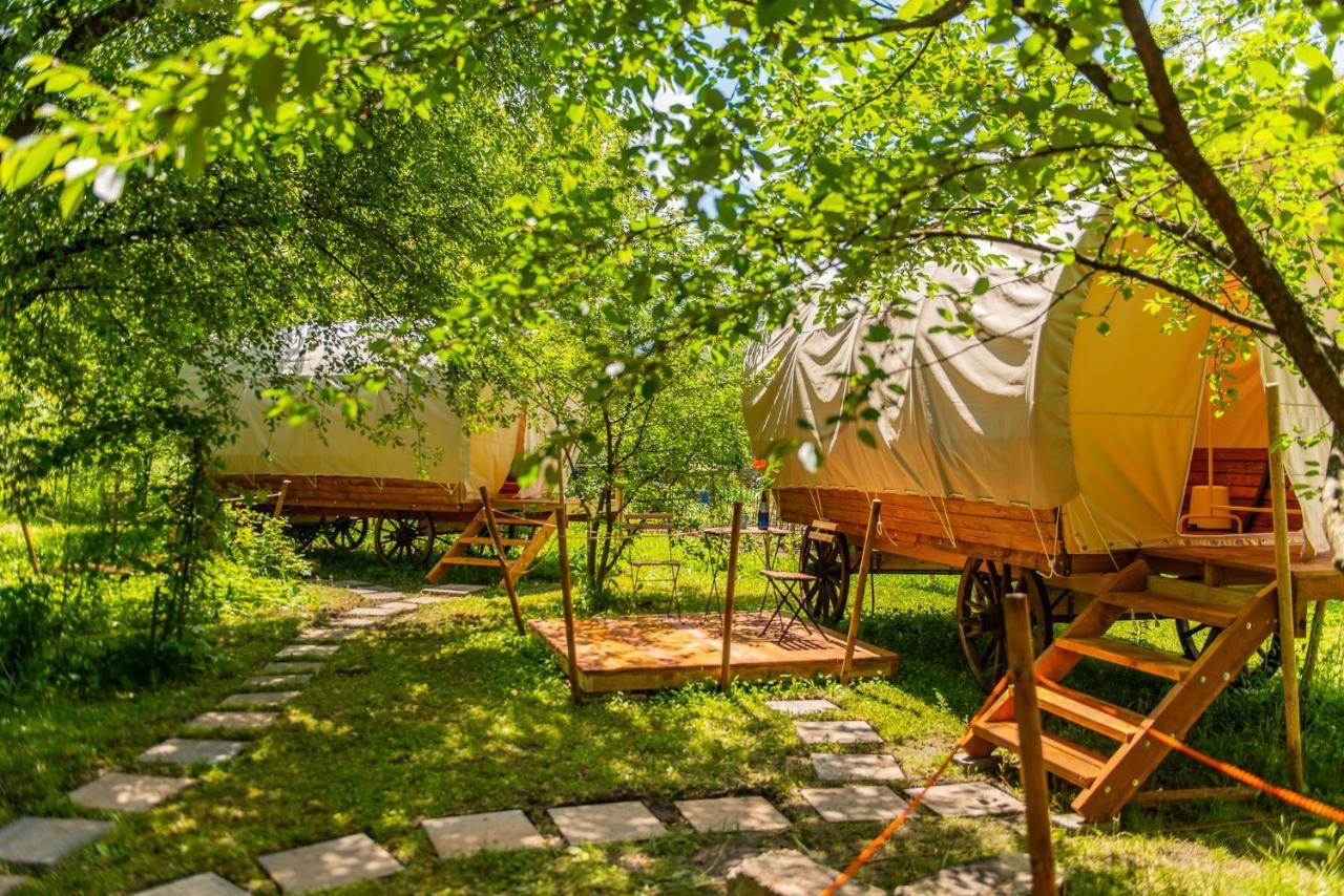 Hotel Dragonfly Gardens - The Wagons Brașov Exterior foto