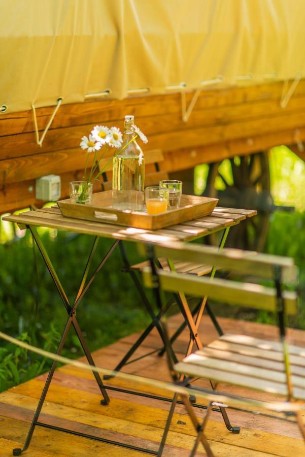 Hotel Dragonfly Gardens - The Wagons Brașov Exterior foto
