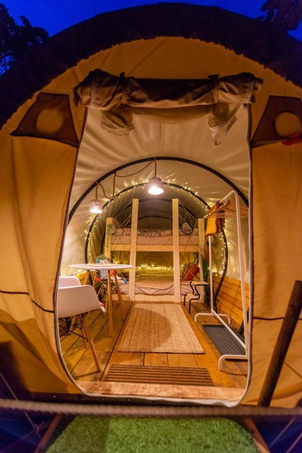 Hotel Dragonfly Gardens - The Wagons Brașov Exterior foto