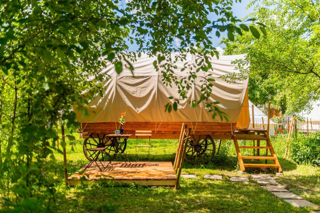 Hotel Dragonfly Gardens - The Wagons Brașov Exterior foto