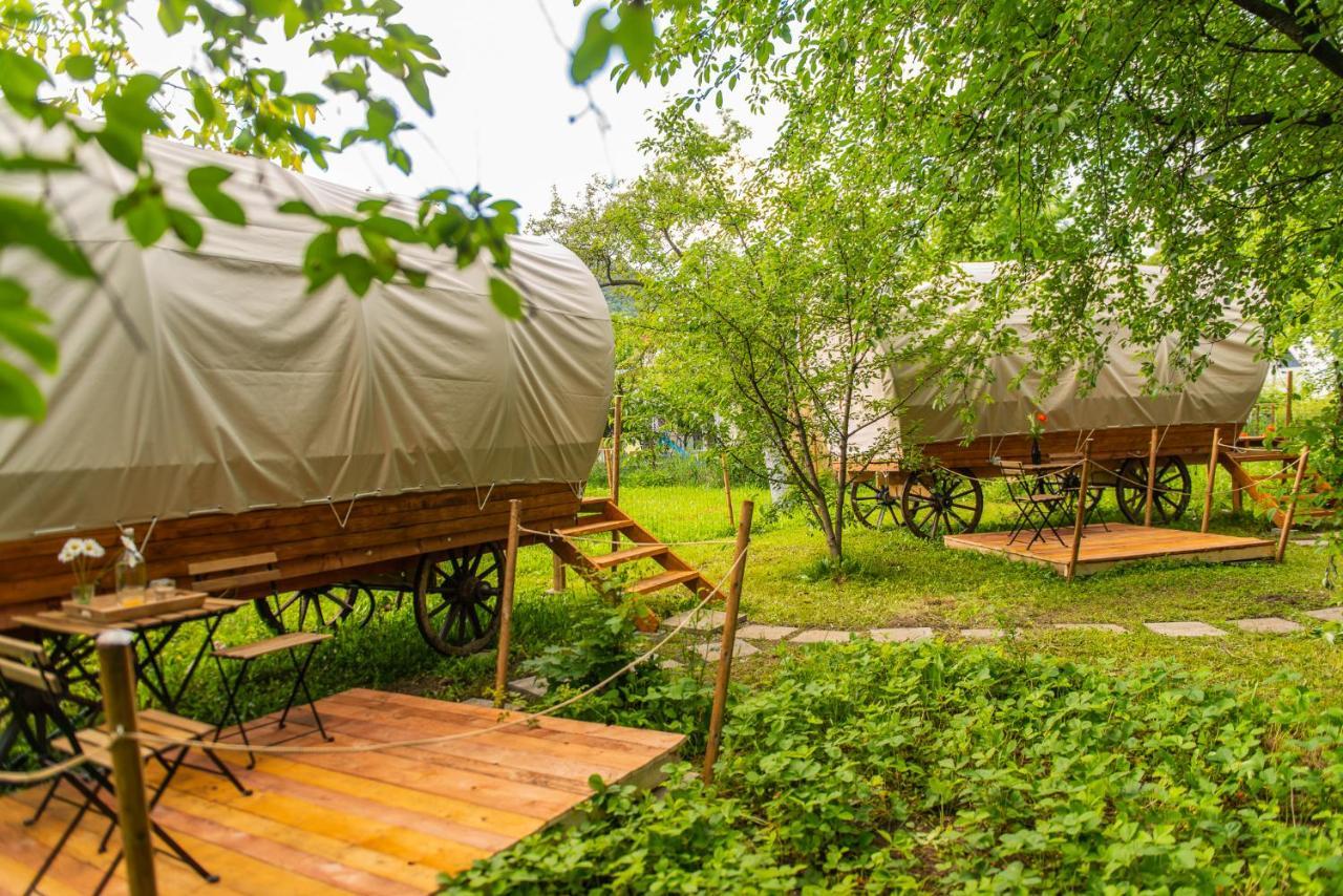 Hotel Dragonfly Gardens - The Wagons Brașov Exterior foto