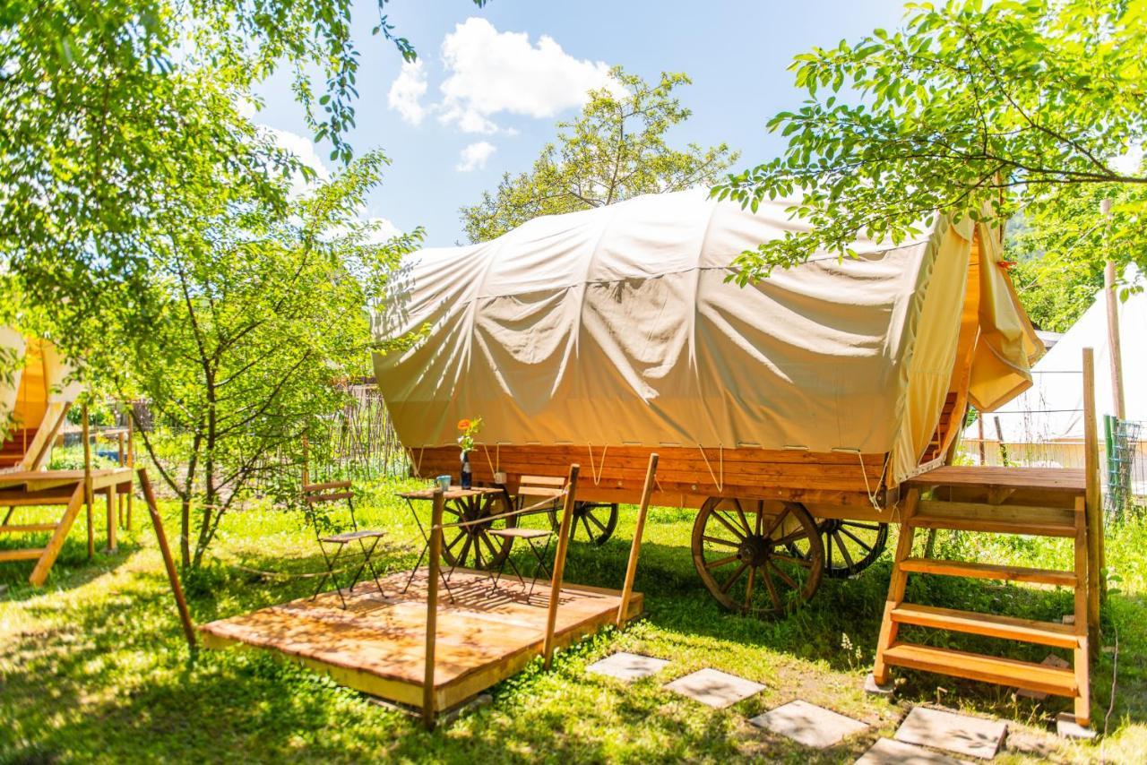 Hotel Dragonfly Gardens - The Wagons Brașov Exterior foto