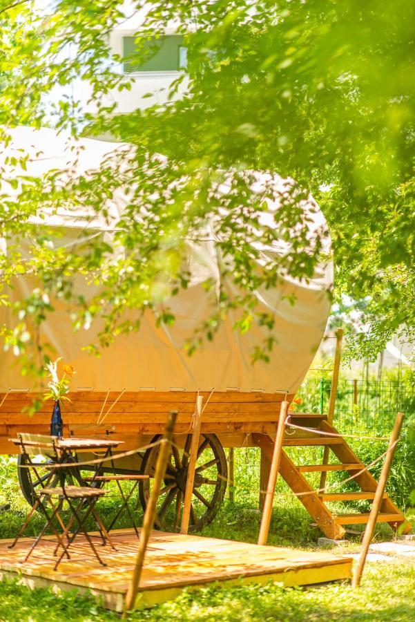Hotel Dragonfly Gardens - The Wagons Brașov Exterior foto