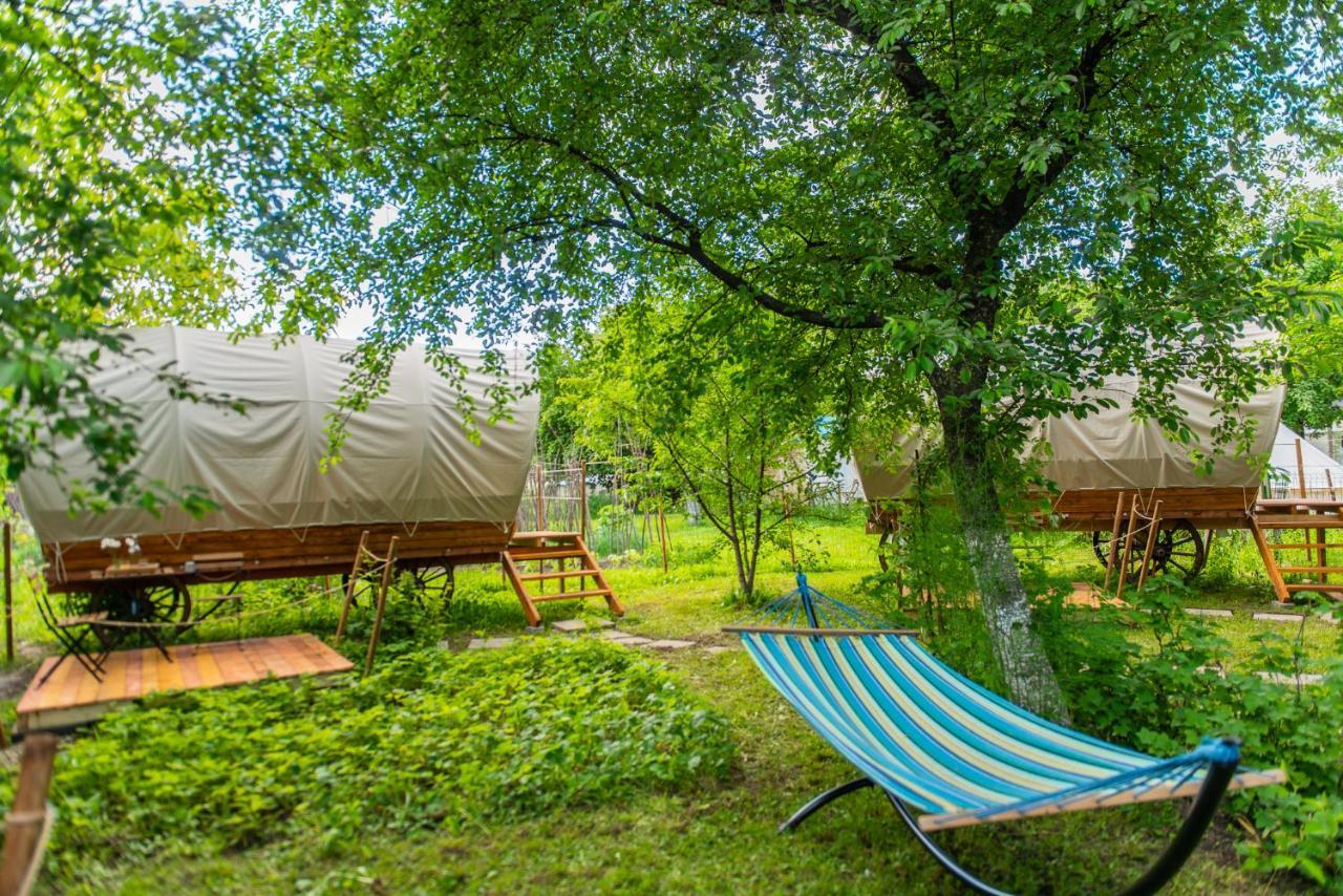 Hotel Dragonfly Gardens - The Wagons Brașov Exterior foto