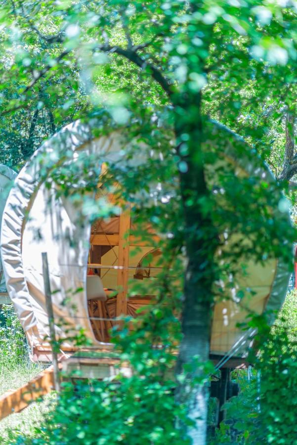 Hotel Dragonfly Gardens - The Wagons Brașov Exterior foto