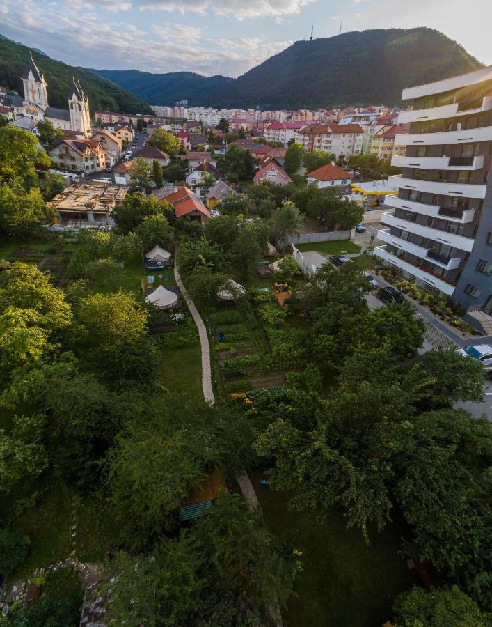 Hotel Dragonfly Gardens - The Wagons Brașov Exterior foto