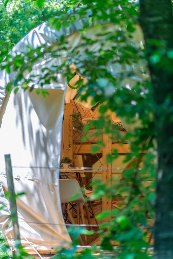 Hotel Dragonfly Gardens - The Wagons Brașov Exterior foto