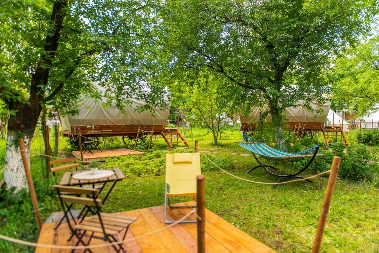 Hotel Dragonfly Gardens - The Wagons Brașov Exterior foto