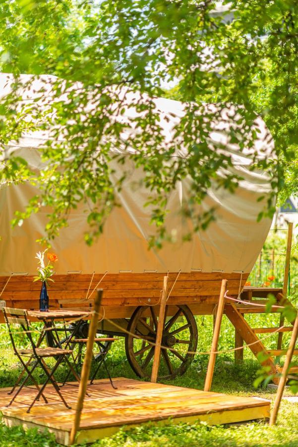 Hotel Dragonfly Gardens - The Wagons Brașov Exterior foto