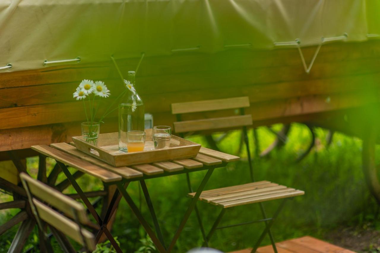 Hotel Dragonfly Gardens - The Wagons Brașov Exterior foto