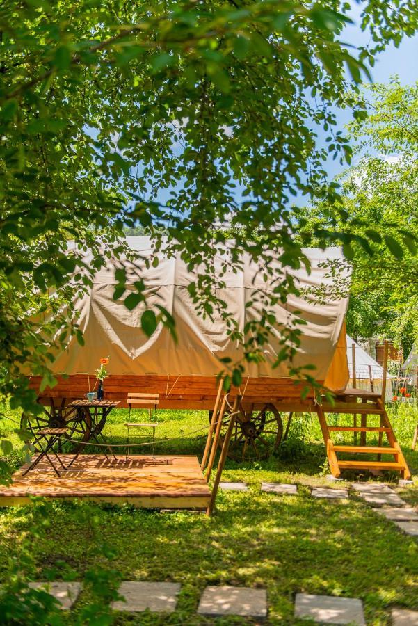 Hotel Dragonfly Gardens - The Wagons Brașov Exterior foto