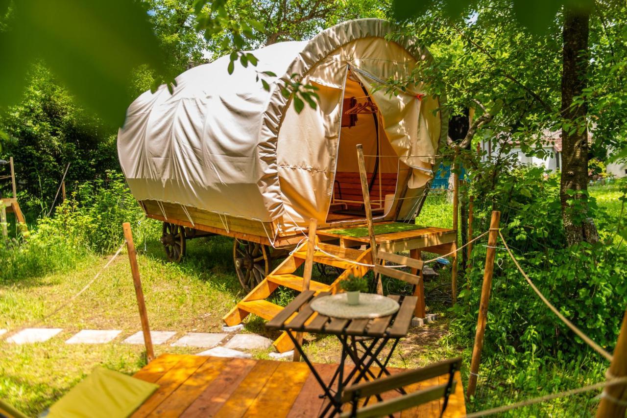 Hotel Dragonfly Gardens - The Wagons Brașov Exterior foto