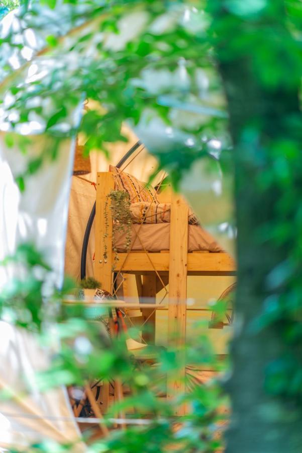 Hotel Dragonfly Gardens - The Wagons Brașov Exterior foto