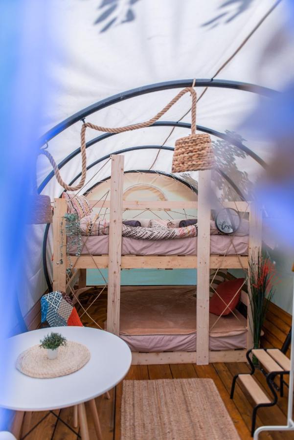 Hotel Dragonfly Gardens - The Wagons Brașov Exterior foto