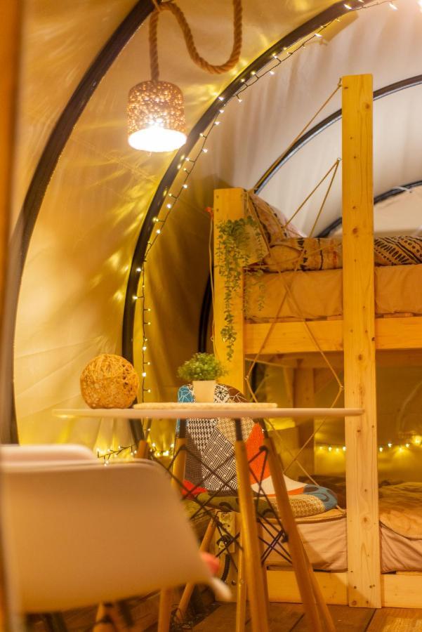 Hotel Dragonfly Gardens - The Wagons Brașov Exterior foto