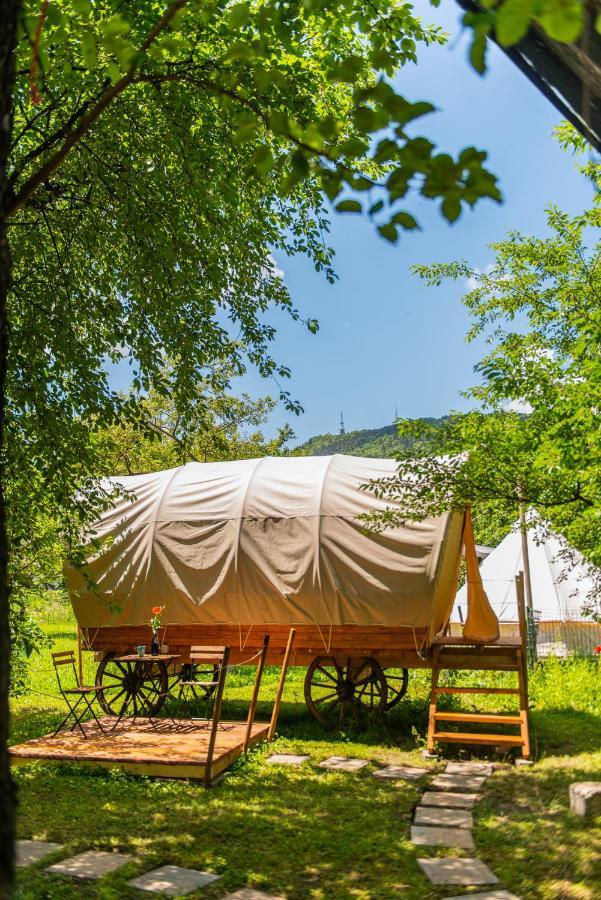Hotel Dragonfly Gardens - The Wagons Brașov Exterior foto