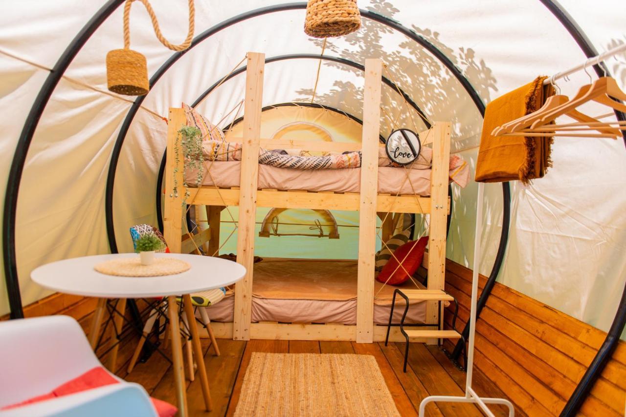 Hotel Dragonfly Gardens - The Wagons Brașov Exterior foto