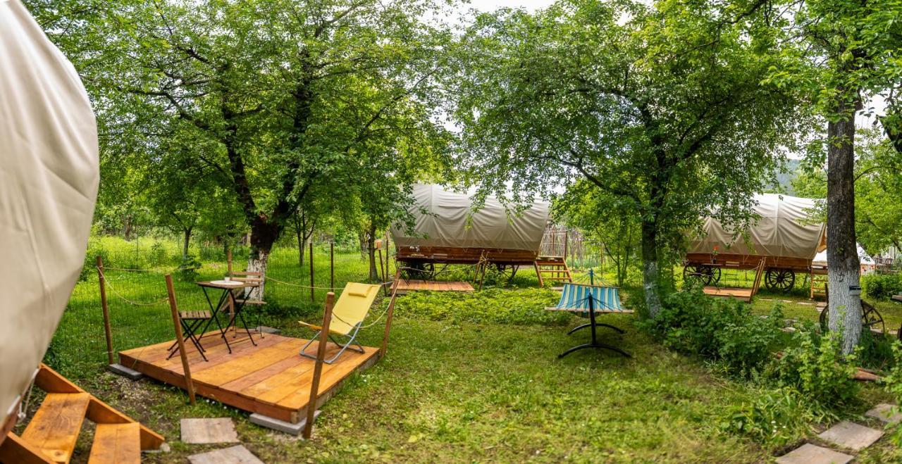 Hotel Dragonfly Gardens - The Wagons Brașov Exterior foto